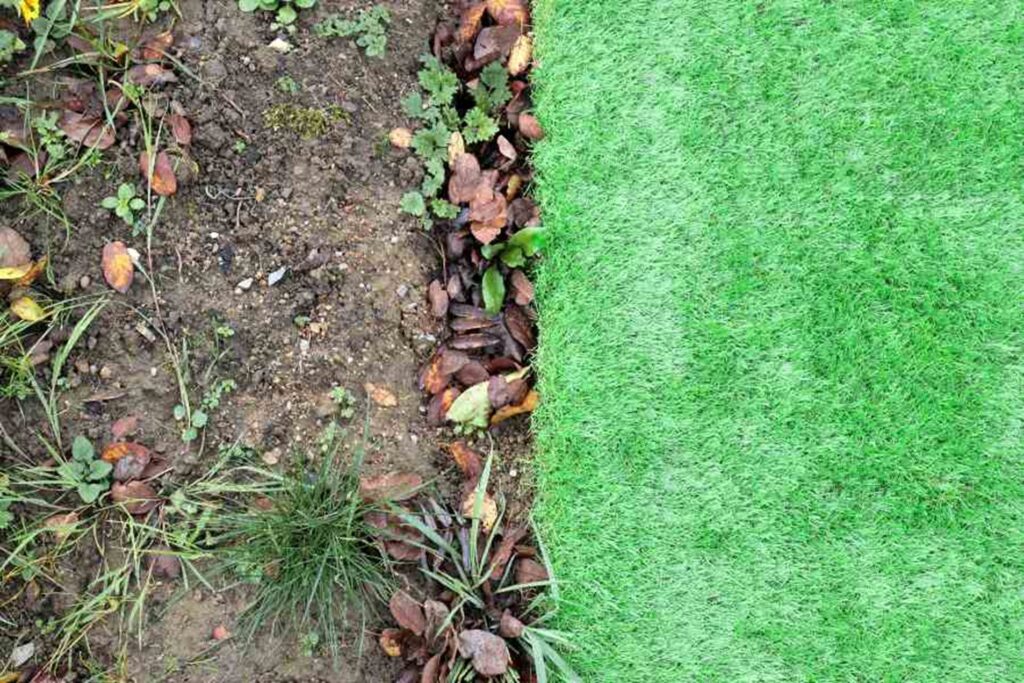 Difference Between Artificial Grass and Turf