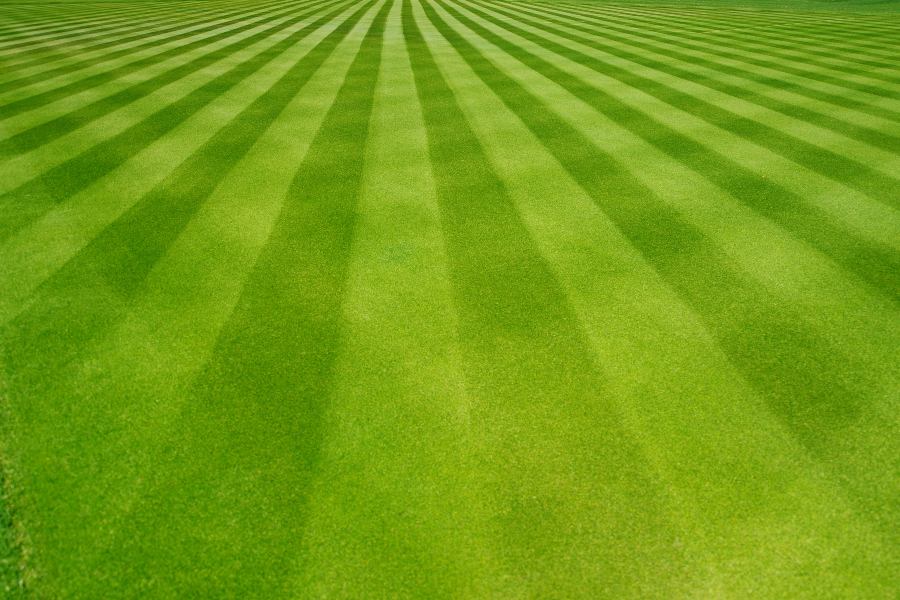Turf Green artificial grass